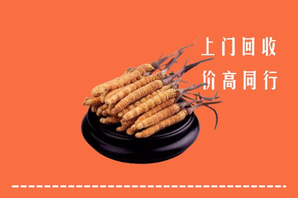 高价求购：乐山市峨眉山回收散虫草