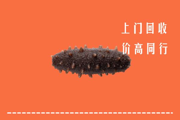 高价求购：乐山市峨眉山回收海参