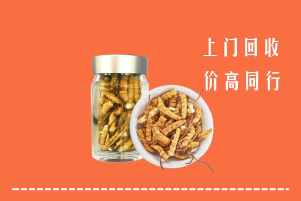 乐山市峨眉山回收冬虫夏草